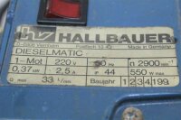 Hallbauer Dieselmatic diesel Kreiselpumpe 33 L-min 0,37 kw 220v transportschaden