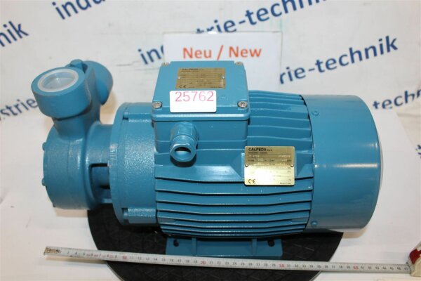 Calpeda 4 KW T 100E T100E Pumpe Peripheralpumpe Zahnradpumpe