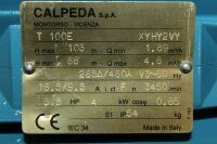 Calpeda 4 KW T 100E T100E Pumpe Peripheralpumpe Zahnradpumpe