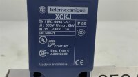 Telemecanique XCKJ Endschalter Positionsschalter