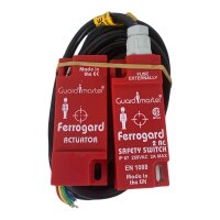 Guardmaster Ferrogard 2 AC Safety Switch 02002 Sicherheitsschalter Schalter