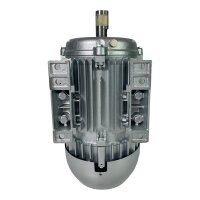 Weg 2,2 KW AL90L-02 Elektromotor  110 Volt