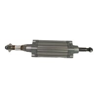 FESTO DNC-50-100-PPV-A-S2 163366 Normzylinder Zylinder