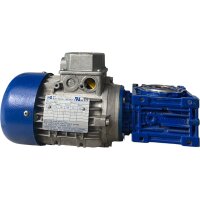 MT Motori Elettrici TN63B/4 14 Motor