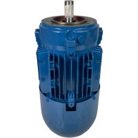 Watt Drive W21 AL80-06 Elektromotor 0,37 kw 1000 min