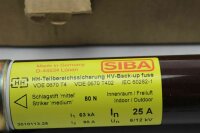 SIBA HH Sicherungseinsatz 25 A 3010113.25