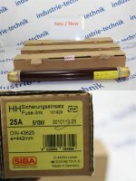 SIBA HH Sicherungseinsatz 25 A 3010113.25